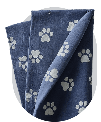 petCloth